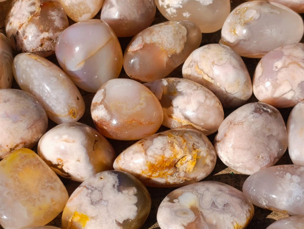 Polished Mini Flower Agate Free Forms x 40 From Antsahalova, Madagascar - Toprock Gemstones and Minerals 