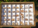 Polished Mini Flower Agate Free Forms x 40 From Antsahalova, Madagascar - Toprock Gemstones and Minerals 