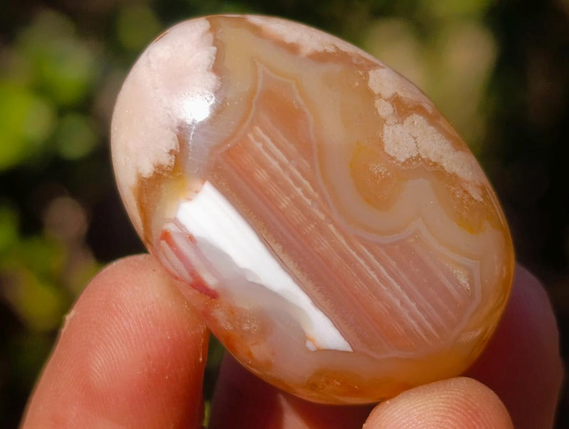 Polished Mini Flower Agate Free Forms x 40 From Antsahalova, Madagascar - Toprock Gemstones and Minerals 
