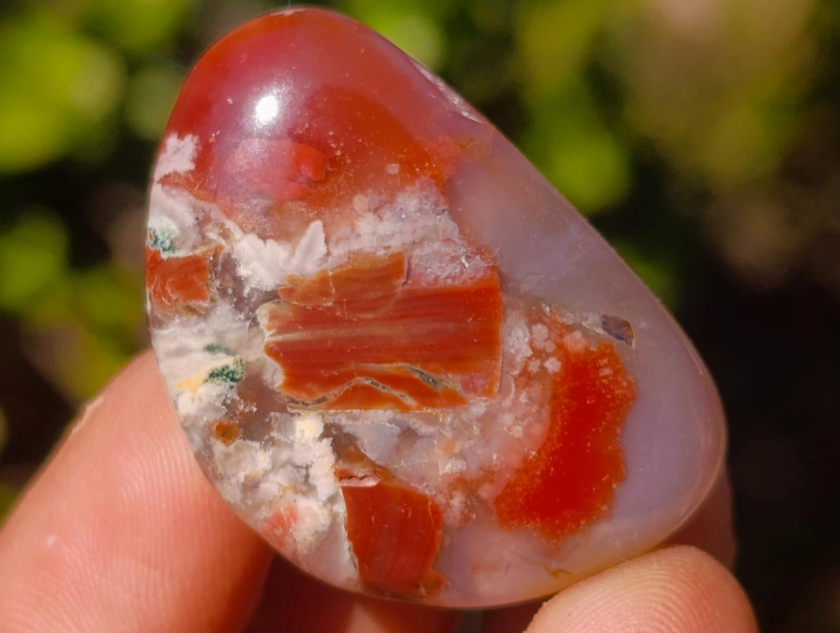 Polished Mini Flower Agate Free Forms x 40 From Antsahalova, Madagascar - Toprock Gemstones and Minerals 