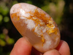 Polished Mini Flower Agate Free Forms x 40 From Antsahalova, Madagascar - Toprock Gemstones and Minerals 