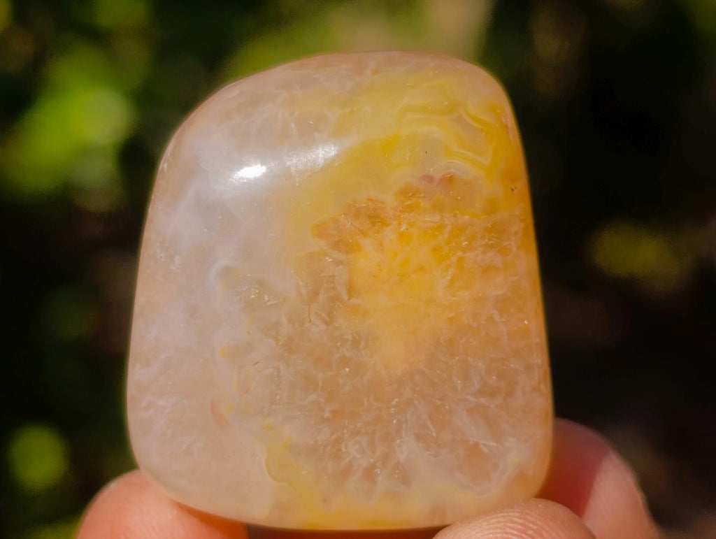 Polished Mini Flower Agate Free Forms x 40 From Antsahalova, Madagascar - Toprock Gemstones and Minerals 