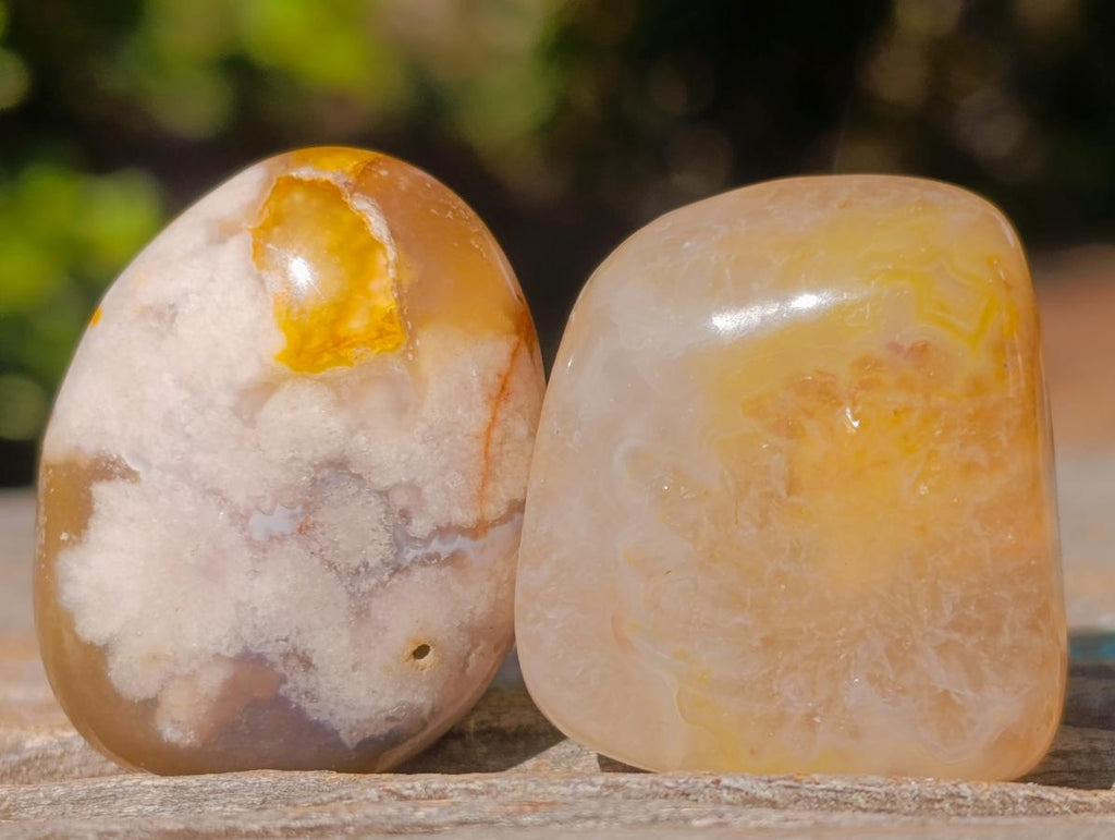 Polished Mini Flower Agate Free Forms x 40 From Antsahalova, Madagascar - Toprock Gemstones and Minerals 
