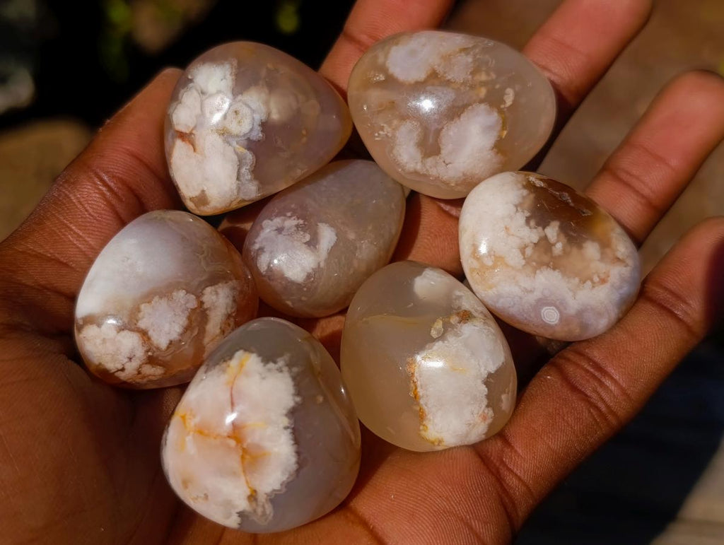 Polished Mini Flower Agate Free Forms x 40 From Antsahalova, Madagascar - Toprock Gemstones and Minerals 