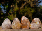 Polished Mini Flower Agate Free Forms x 40 From Antsahalova, Madagascar - Toprock Gemstones and Minerals 