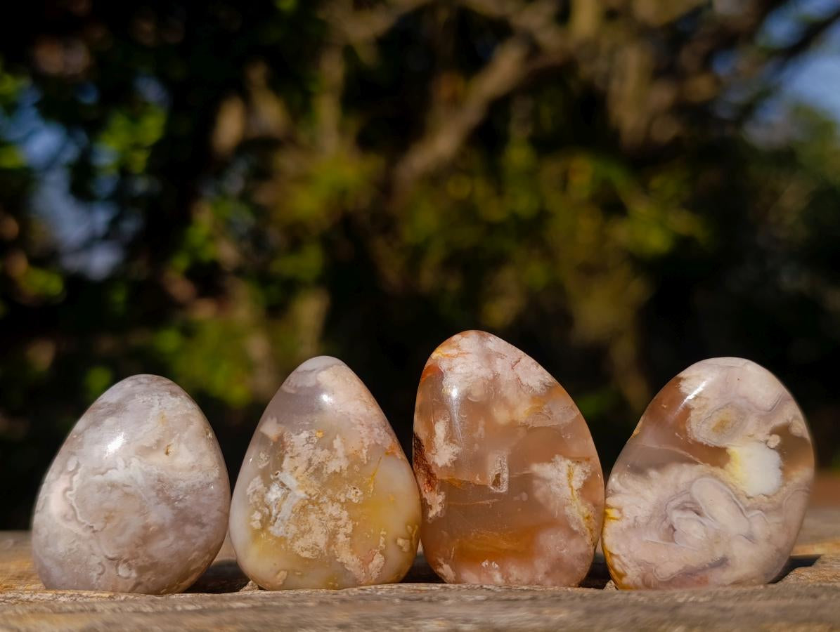 Polished Mini Flower Agate Free Forms x 40 From Antsahalova, Madagascar - Toprock Gemstones and Minerals 
