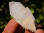 Natural Mini Single Window Pineapple Quartz Crystals x 70 From Antsirabe, Madagascar - Toprock Gemstones and Minerals 
