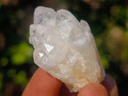 Natural Mini Single Window Pineapple Quartz Crystals x 70 From Antsirabe, Madagascar - Toprock Gemstones and Minerals 