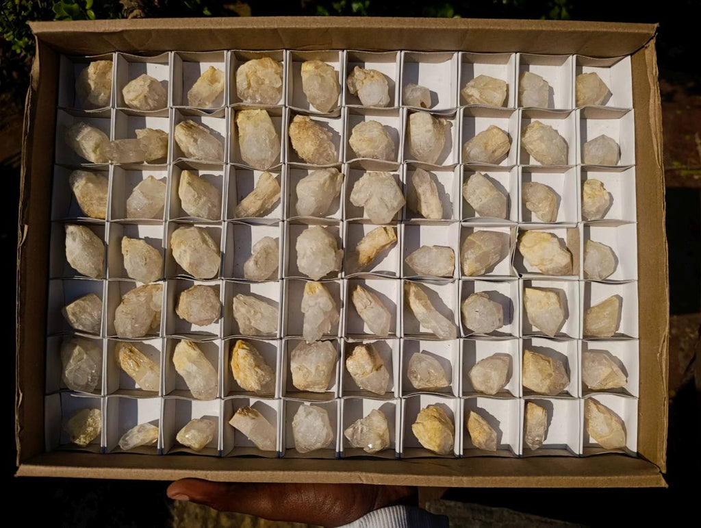 Natural Mini Single Window Pineapple Quartz Crystals x 70 From Antsirabe, Madagascar - Toprock Gemstones and Minerals 