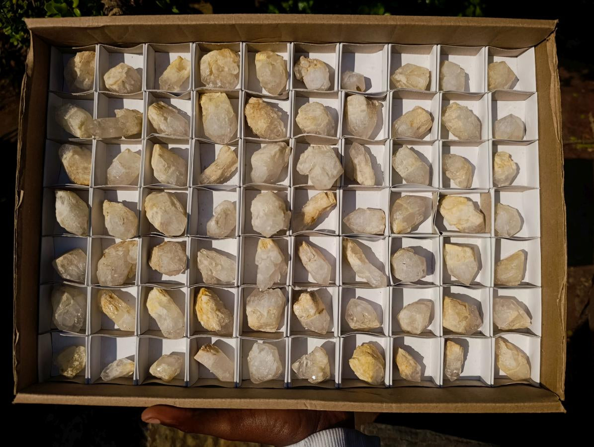 Natural Mini Single Window Pineapple Quartz Crystals x 70 From Antsirabe, Madagascar - Toprock Gemstones and Minerals 