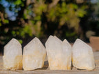 Natural Mini Single Window Pineapple Quartz Crystals x 70 From Antsirabe, Madagascar - Toprock Gemstones and Minerals 