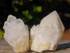 Natural Mini Single Window Pineapple Quartz Crystals x 70 From Antsirabe, Madagascar - Toprock Gemstones and Minerals 