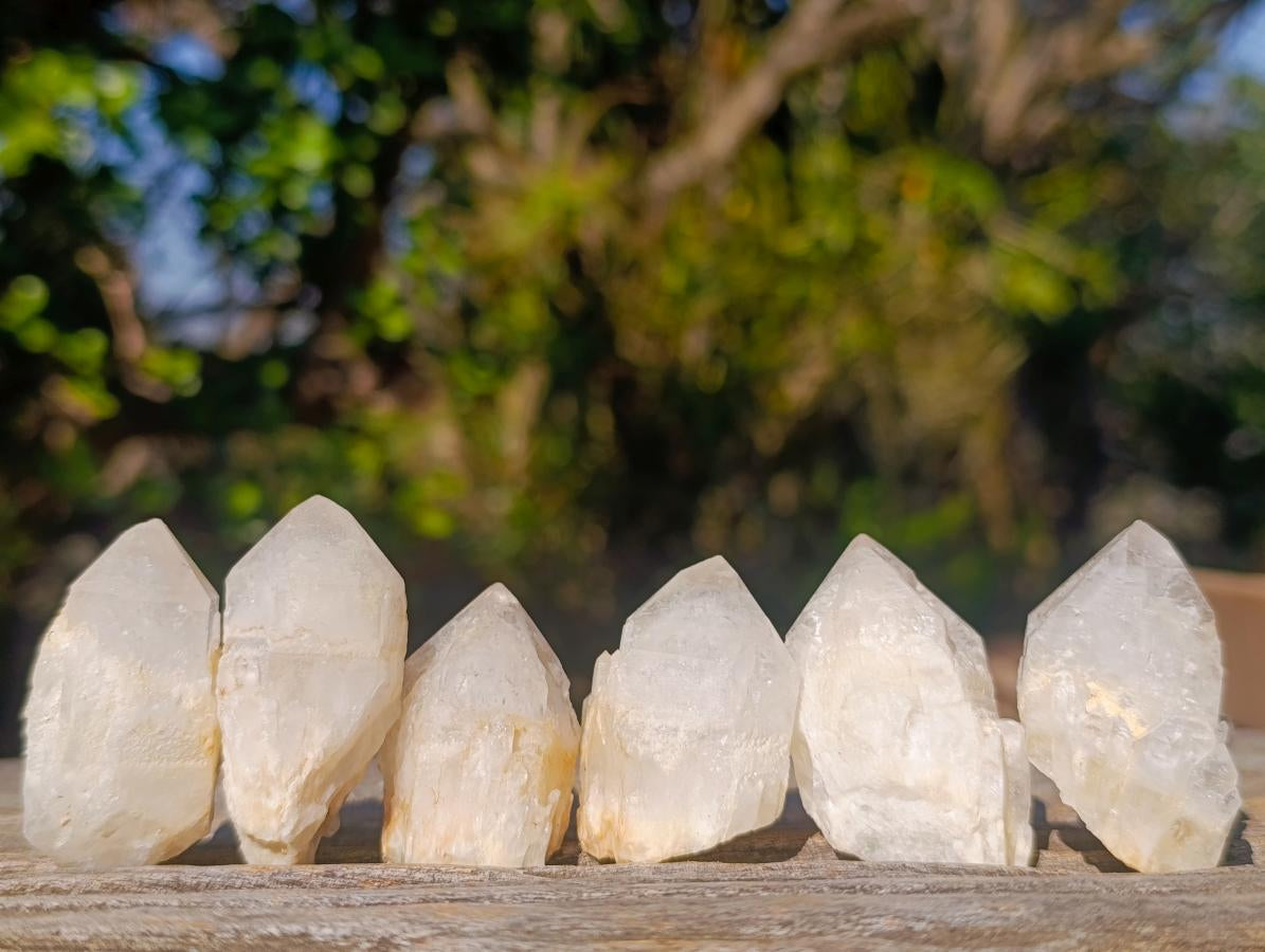 Natural Mini Single Window Pineapple Quartz Crystals x 70 From Antsirabe, Madagascar - Toprock Gemstones and Minerals 