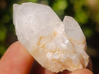 Natural Mini Single Window Pineapple Quartz Crystals x 70 From Antsirabe, Madagascar - Toprock Gemstones and Minerals 