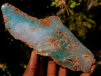Polished One Side Great Dyke Mtorolite Chrysoprase Slices x 6 From Great Dyke Mountain Range, Zimbabwe - Toprock Gemstones and Minerals 