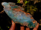 Polished One Side Great Dyke Mtorolite Chrysoprase Slices x 6 From Great Dyke Mountain Range, Zimbabwe - Toprock Gemstones and Minerals 