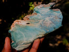 Polished One Side Great Dyke Mtorolite Chrysoprase Slices x 6 From Great Dyke Mountain Range, Zimbabwe - Toprock Gemstones and Minerals 