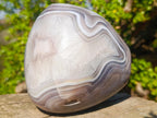 Polished Large Shashe River Agate Standing Display Piece x 1 From Shashe River, Zimbabwe - Toprock Gemstones and Minerals 