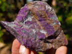 Natural Metallic Cobbed Purpurite Specimens x 12 From Erongo, Namibia - Toprock Gemstones and Minerals 