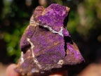 Natural Metallic Cobbed Purpurite Specimens x 12 From Erongo, Namibia - Toprock Gemstones and Minerals 