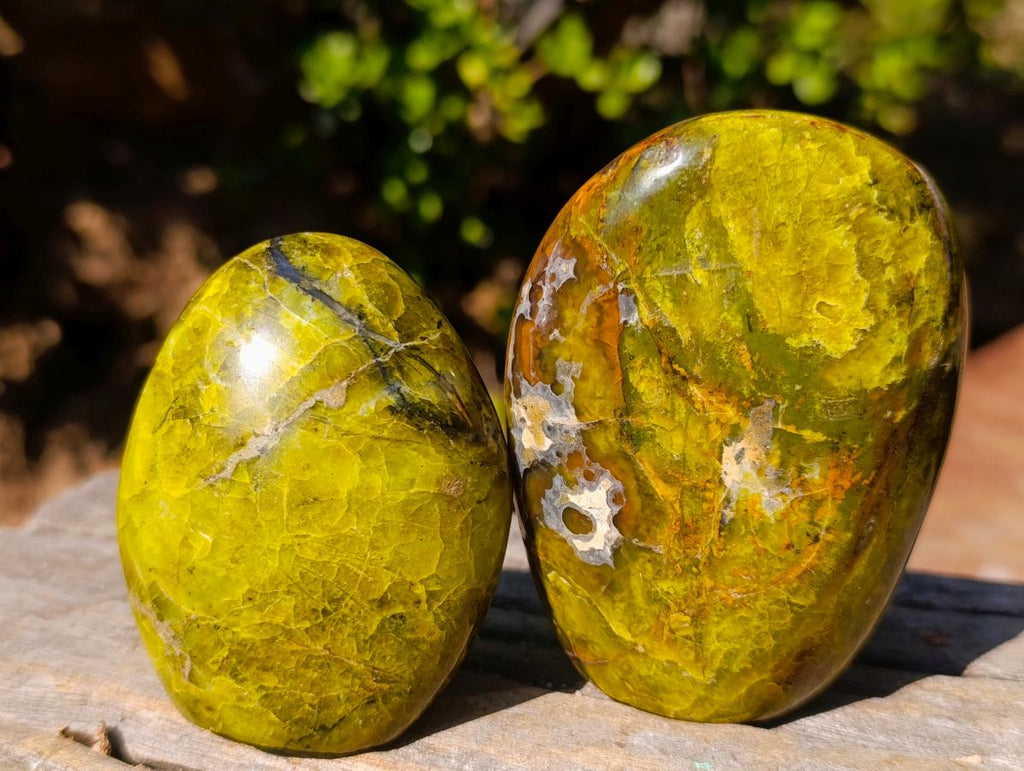 Polished Green Opal Standing Display Pieces x 6 From Betroka, Madagascar - Toprock Gemstones and Minerals 