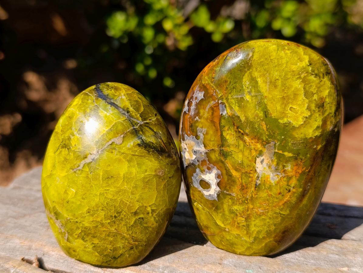 Polished Green Opal Standing Display Pieces x 6 From Betroka, Madagascar - Toprock Gemstones and Minerals 