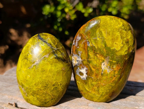 Polished Green Opal Standing Display Pieces x 6 From Betroka, Madagascar - Toprock Gemstones and Minerals 
