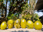 Polished Green Opal Standing Display Pieces x 6 From Betroka, Madagascar - Toprock Gemstones and Minerals 