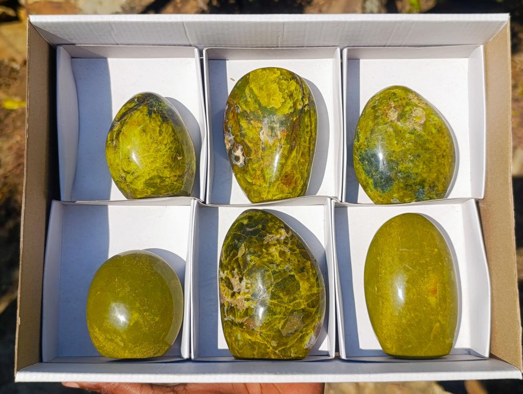 Polished Green Opal Standing Display Pieces x 6 From Betroka, Madagascar - Toprock Gemstones and Minerals 