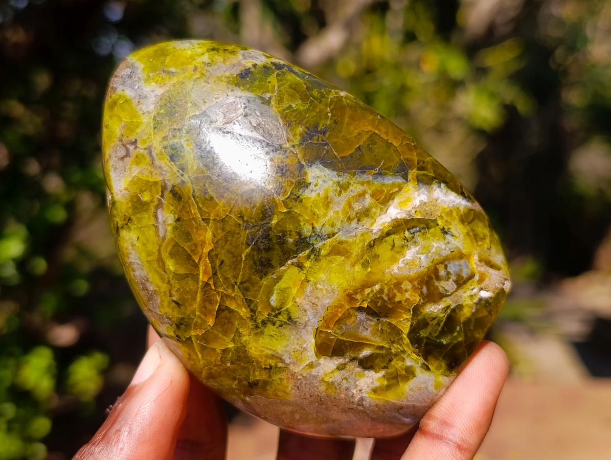 Polished Green Opal Standing Display Pieces x 6 From Betroka, Madagascar - Toprock Gemstones and Minerals 