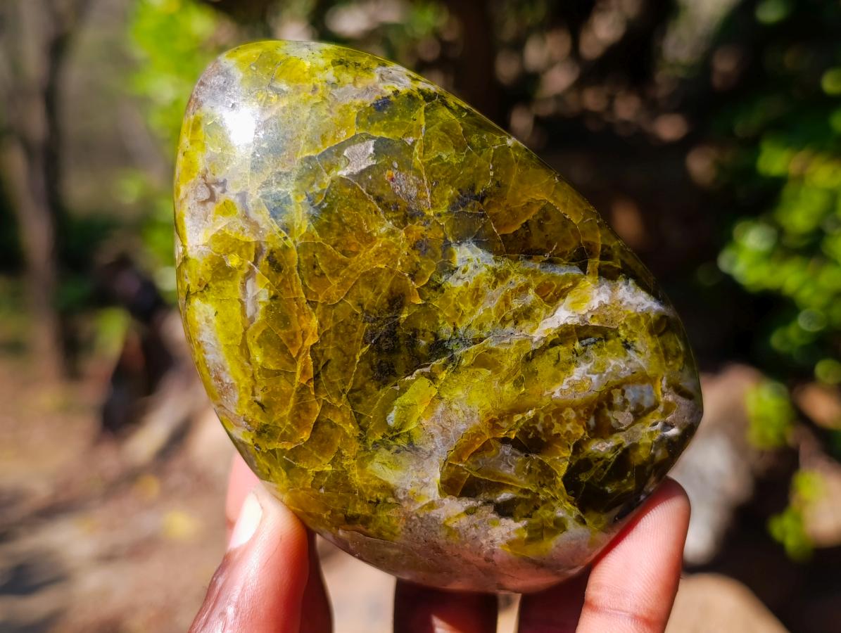 Polished Green Opal Standing Display Pieces x 6 From Betroka, Madagascar - Toprock Gemstones and Minerals 