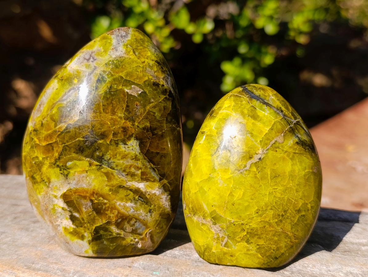 Polished Green Opal Standing Display Pieces x 6 From Betroka, Madagascar - Toprock Gemstones and Minerals 