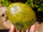 Polished Green Opal Standing Display Pieces x 6 From Betroka, Madagascar - Toprock Gemstones and Minerals 