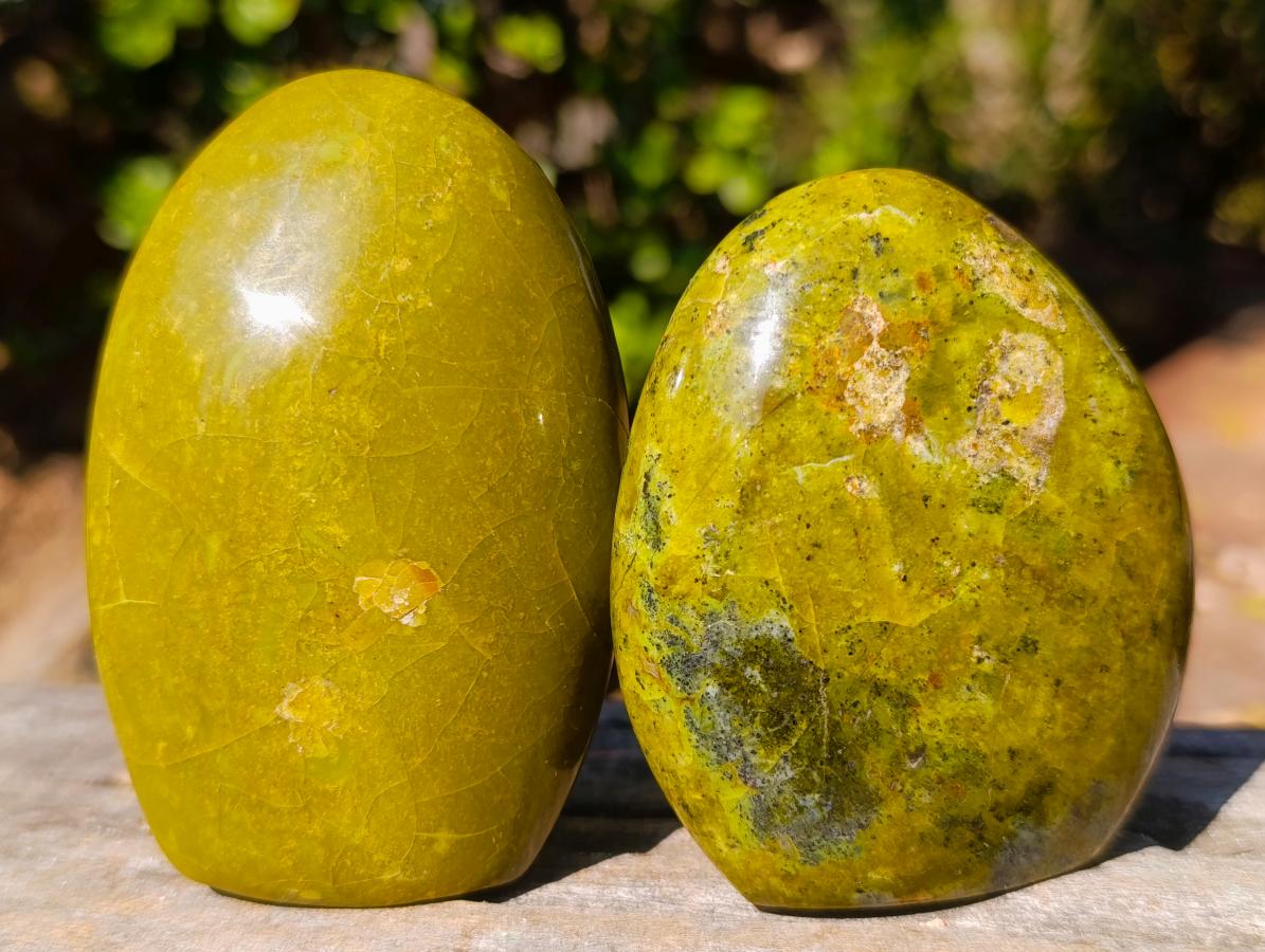 Polished Green Opal Standing Display Pieces x 6 From Betroka, Madagascar - Toprock Gemstones and Minerals 