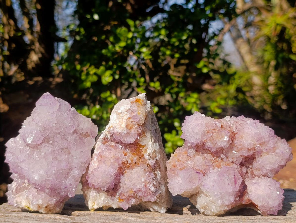 Natural Spirit Amethyst Clusters x 3 From Boekenhouthoek, South Africa - Toprock Gemstones and Minerals 