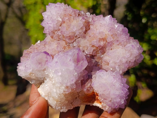 Natural Spirit Amethyst Clusters x 3 From Boekenhouthoek, South Africa - Toprock Gemstones and Minerals 