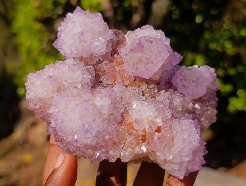 Natural Spirit Amethyst Clusters x 3 From Boekenhouthoek, South Africa - Toprock Gemstones and Minerals 