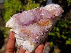 Natural Spirit Amethyst Clusters x 3 From Boekenhouthoek, South Africa - Toprock Gemstones and Minerals 