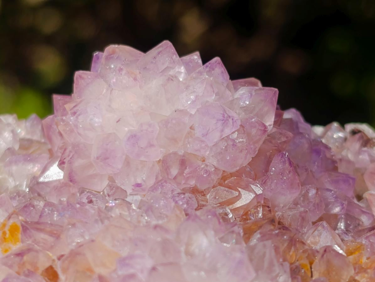 Natural Spirit Amethyst Clusters x 3 From Boekenhouthoek, South Africa - Toprock Gemstones and Minerals 