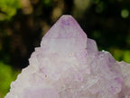 Natural Spirit Amethyst Clusters x 3 From Boekenhouthoek, South Africa - Toprock Gemstones and Minerals 