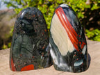 Polished Bloodstone Standing Display Pieces x 2 From Swaziland - Toprock Gemstones and Minerals 