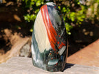 Polished Bloodstone Standing Display Pieces x 2 From Swaziland - Toprock Gemstones and Minerals 