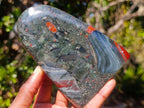 Polished Bloodstone Standing Display Pieces x 2 From Swaziland - Toprock Gemstones and Minerals 