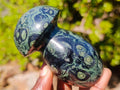 Polished Stromatolite "Kambamba Jasper" Mushrooms x 4 From Katsepy, Madagascar - Toprock Gemstones and Minerals 