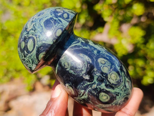 Polished Stromatolite "Kambamba Jasper" Mushrooms x 4 From Katsepy, Madagascar - Toprock Gemstones and Minerals 