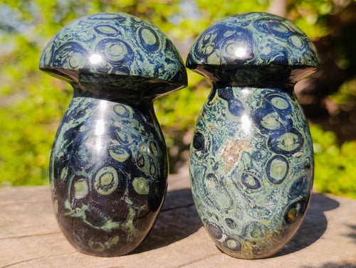 Polished Stromatolite "Kambamba Jasper" Mushrooms x 4 From Katsepy, Madagascar - Toprock Gemstones and Minerals 