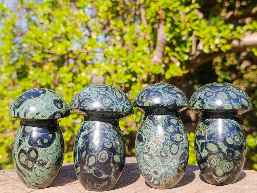Polished Stromatolite "Kambamba Jasper" Mushrooms x 4 From Katsepy, Madagascar - Toprock Gemstones and Minerals 