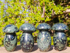 Polished Stromatolite "Kambamba Jasper" Mushrooms x 4 From Katsepy, Madagascar - Toprock Gemstones and Minerals 