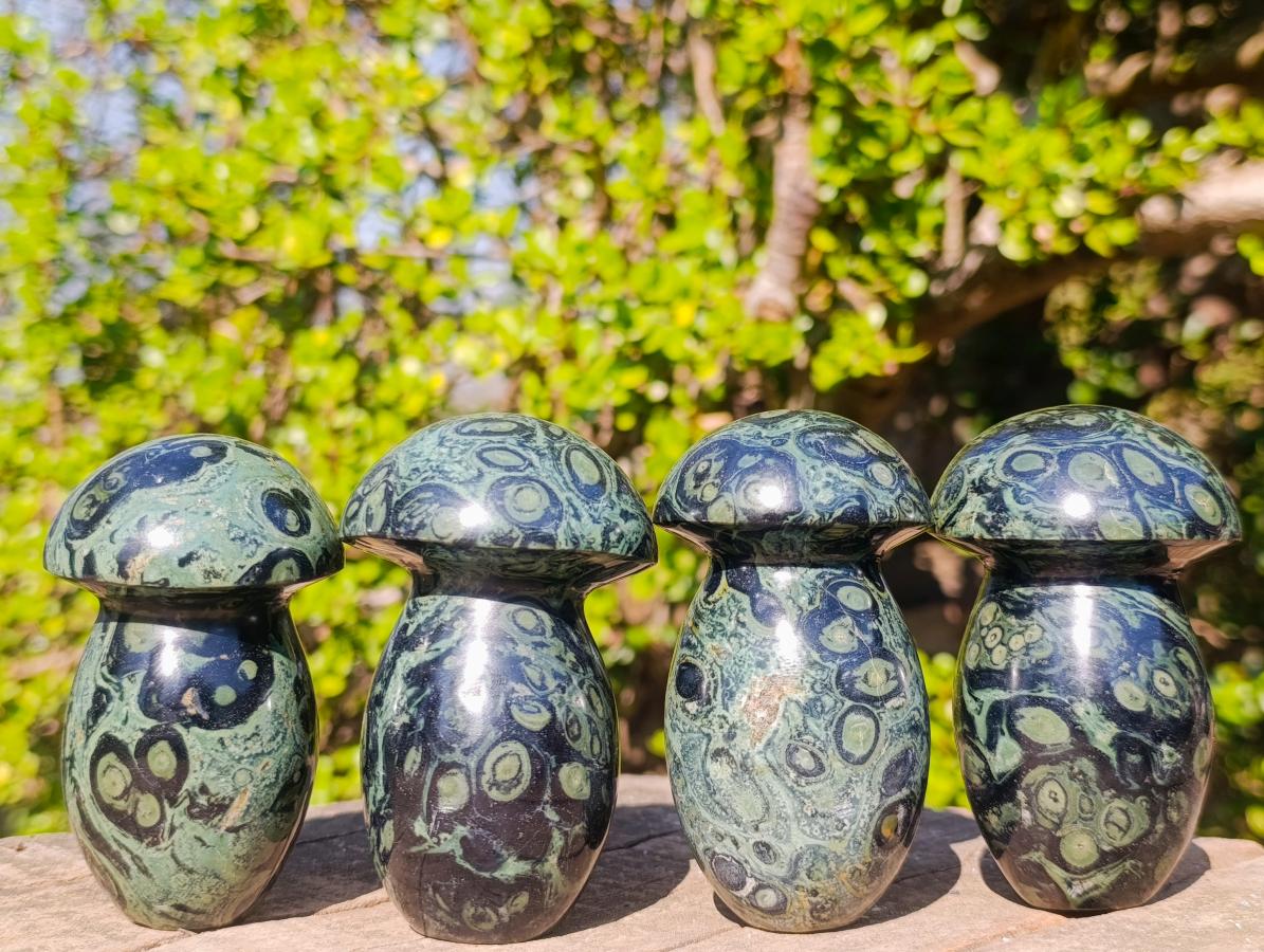 Polished Stromatolite "Kambamba Jasper" Mushrooms x 4 From Katsepy, Madagascar - Toprock Gemstones and Minerals 