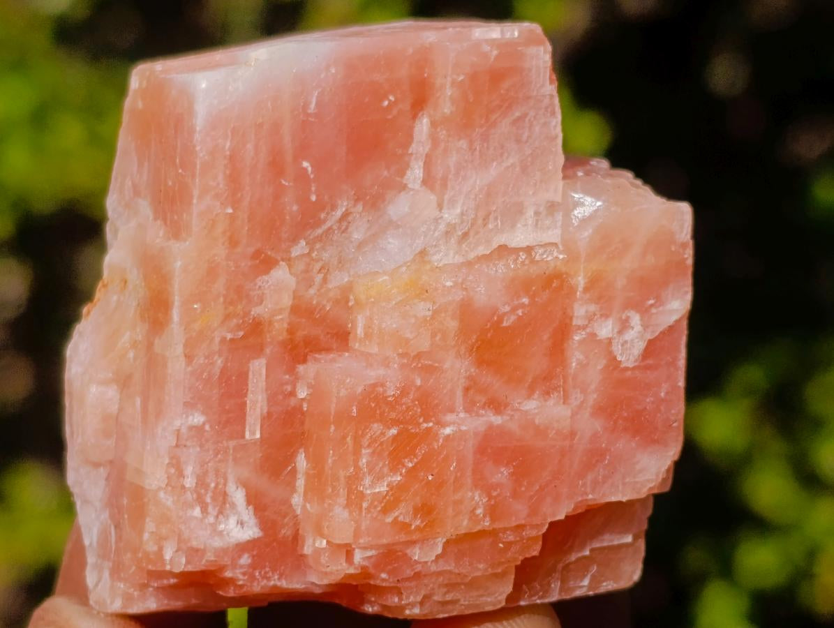 Natural Rhombohedral Sunset Orange Calcite Specimens x 24 From Spitzkop, Namibia - Toprock Gemstones and Minerals 